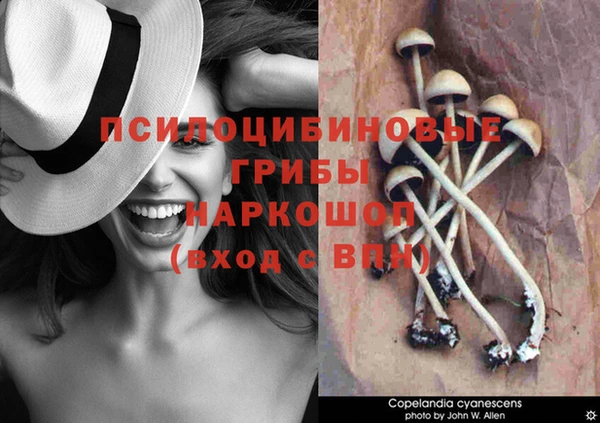 соль курить ск Россошь