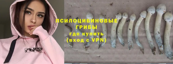 мяу мяу мука Алзамай